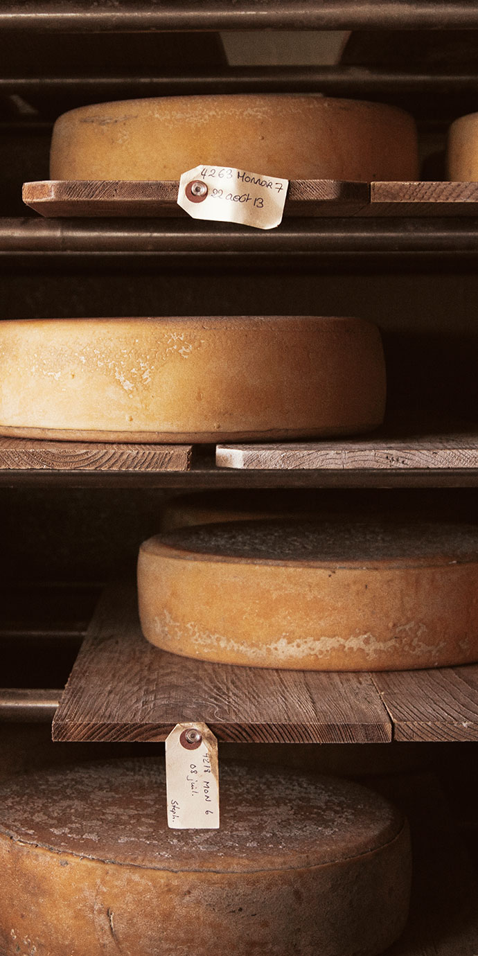 fromage_monnoir_affinage_meules